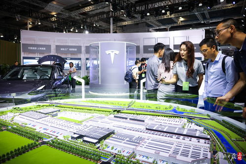 首屆上海碳博會展示碳中和科技風向，軟件技術開發成重要推動力